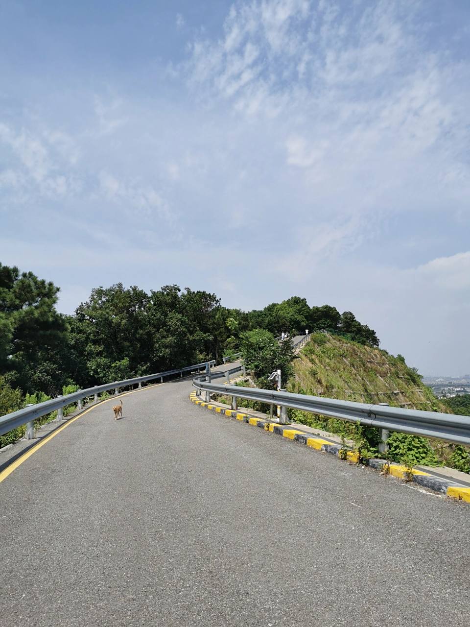 常州爬山——舜过山森林公园 周末开车去焦溪舜过山森林公园,因为天热