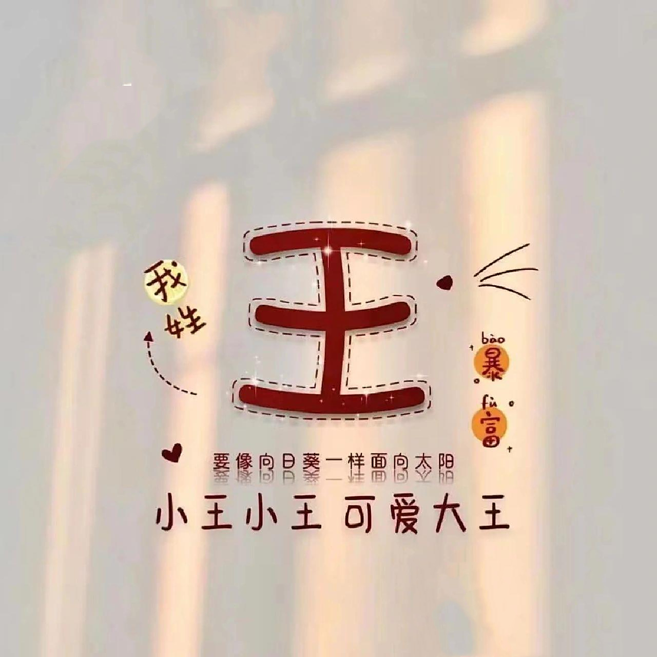 王氏微信头像 姓王的贝贝们来领取你的头像吧7878