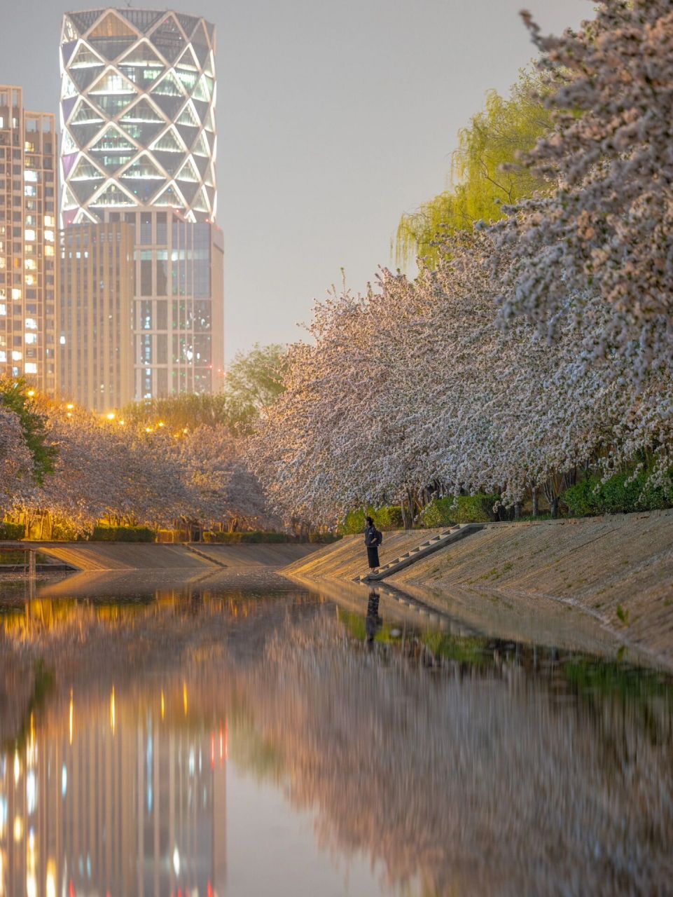 北京日和|夜游海棠溪 白天逛完没过瘾,晚上又来谈了一会儿恋爱～喧嚣