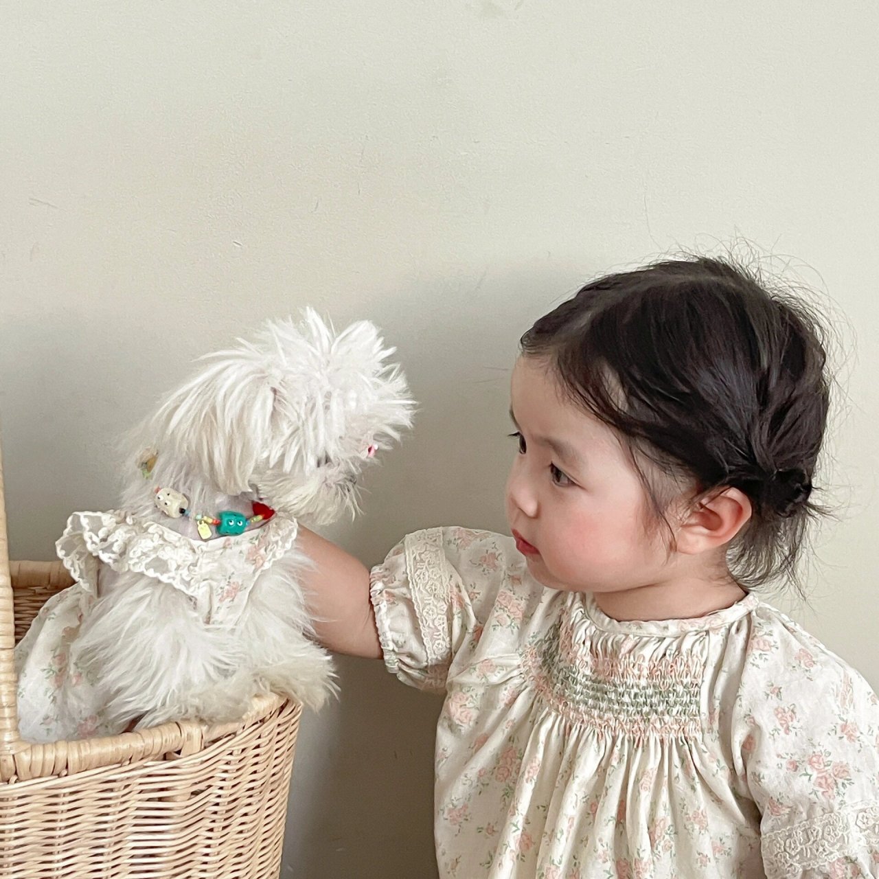 萌娃和萌宠98放在一起,要萌翻了 一组可爱到流口水的头像