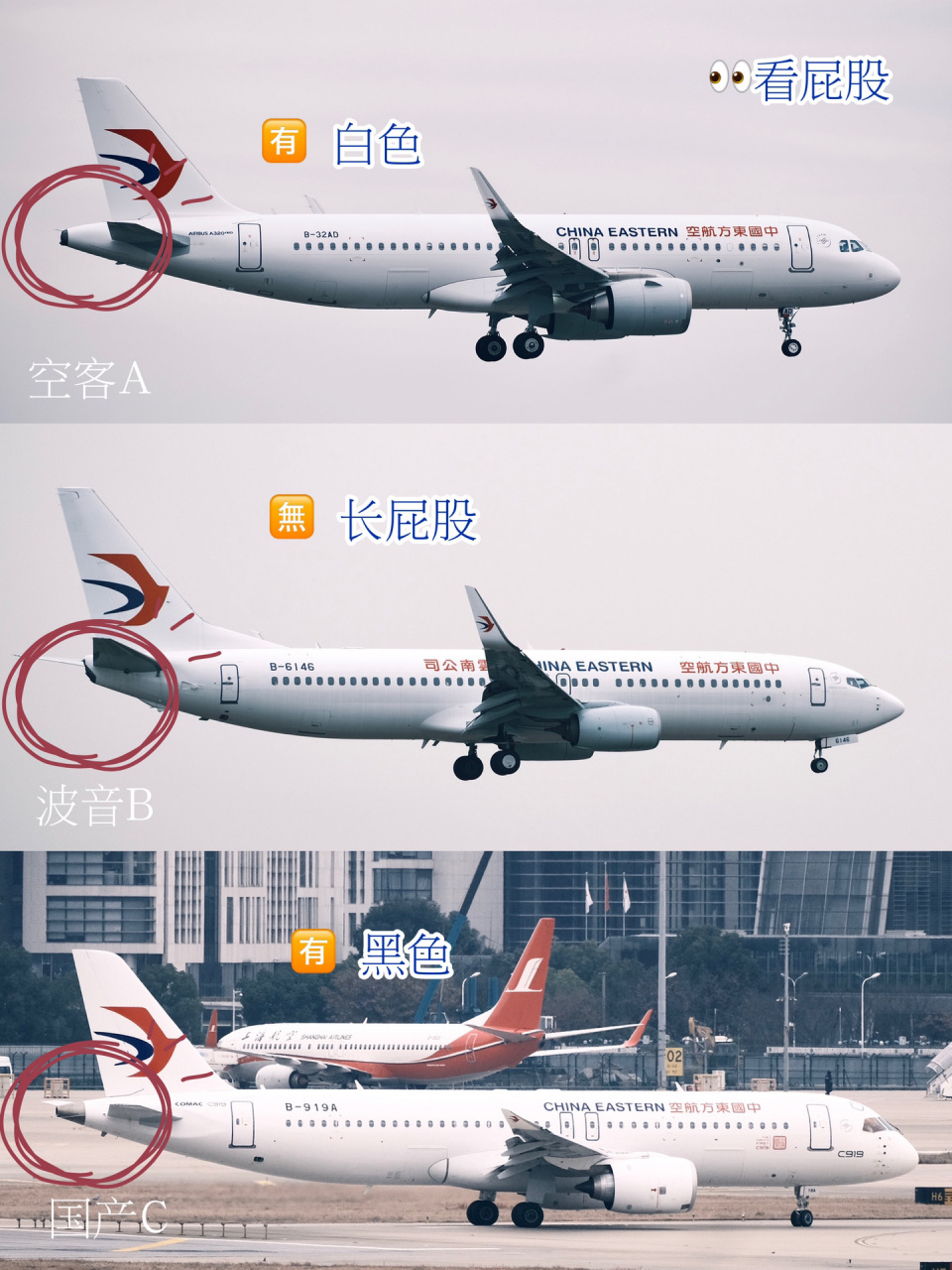 11566图教你,如何分辨空客,波音,国产飞机7515 2022年,东航