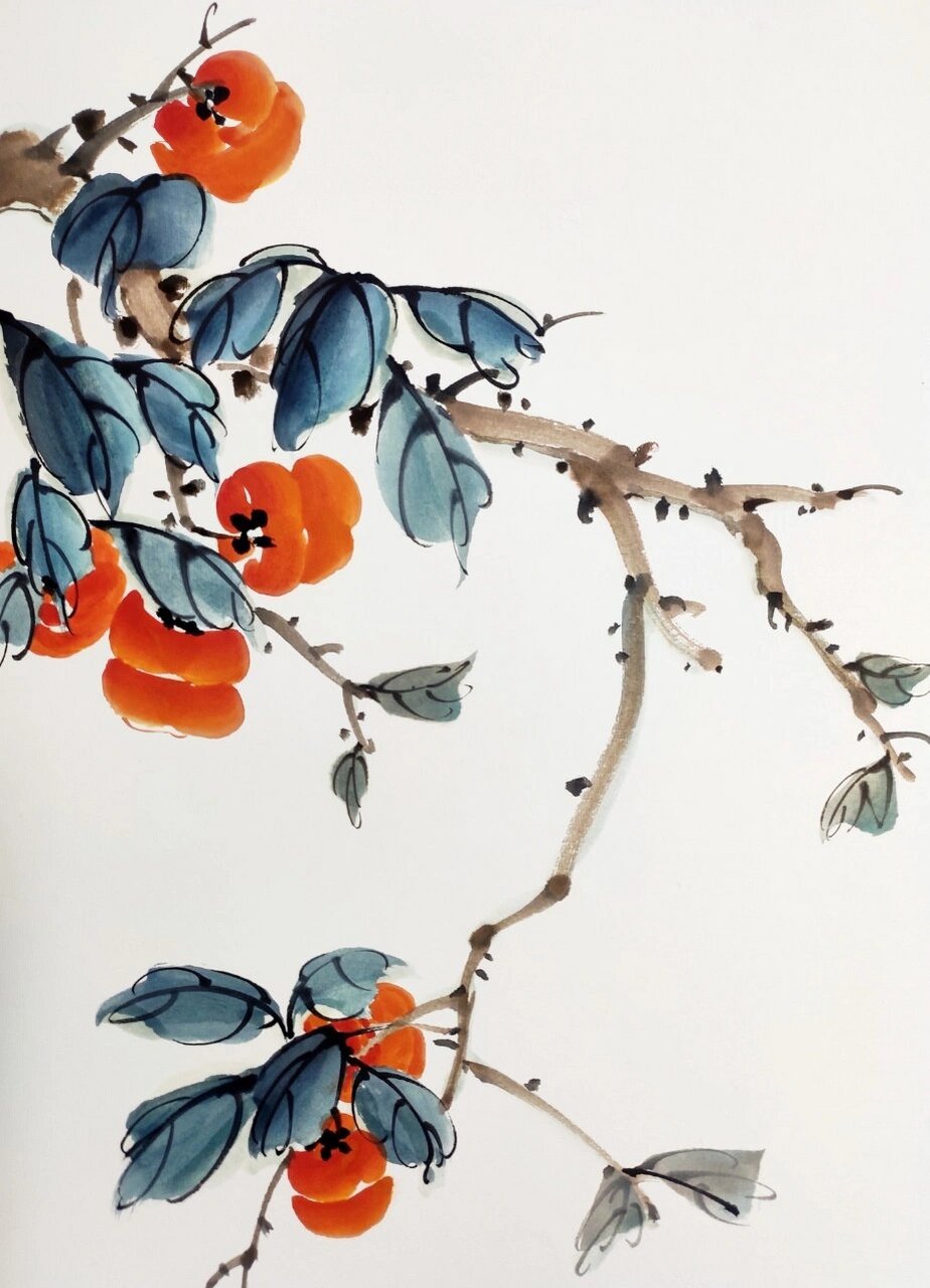 先画柿子叶,调花青三绿加少许墨色,画叶子注意叶子的组合关系,三两