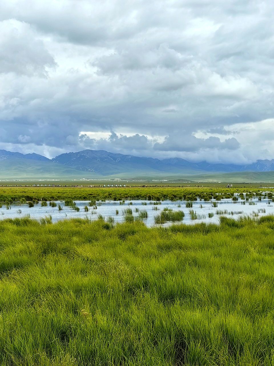 若尔盖花湖攻略9015(文末附9015) 90门票: 全票95110
