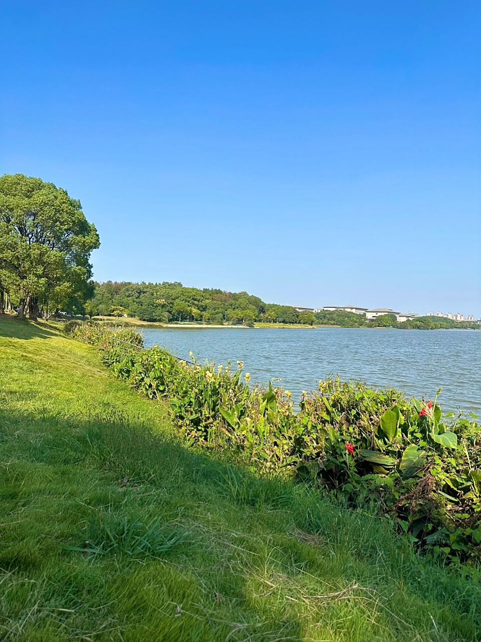 南昌 前湖公园真的很适合野餐94 最近的温度很舒服,在湖边野餐,吹