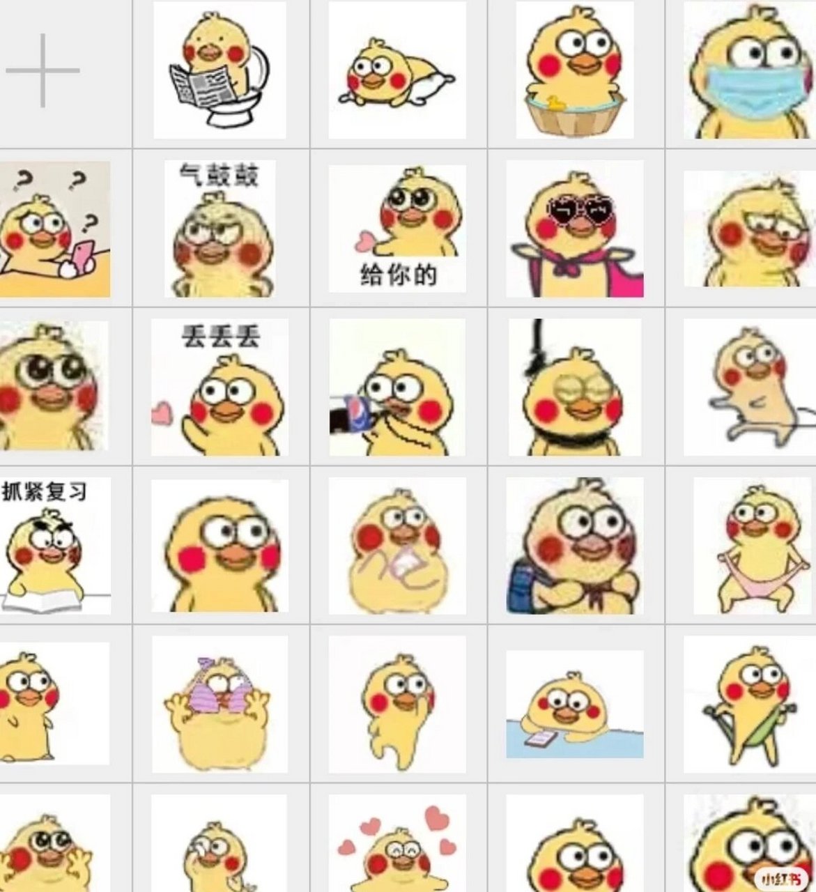 小黄鸡动图表情包