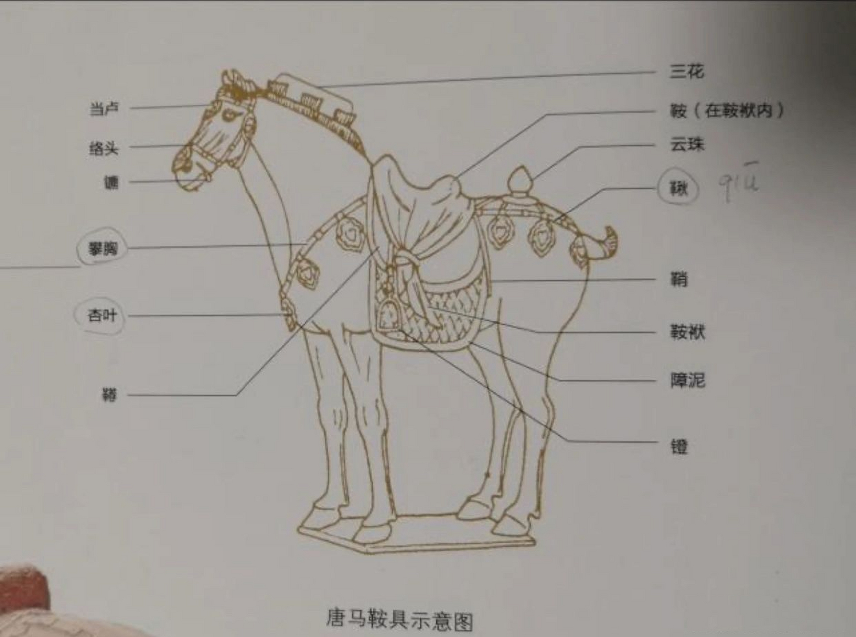 古代马具的谣传图片
