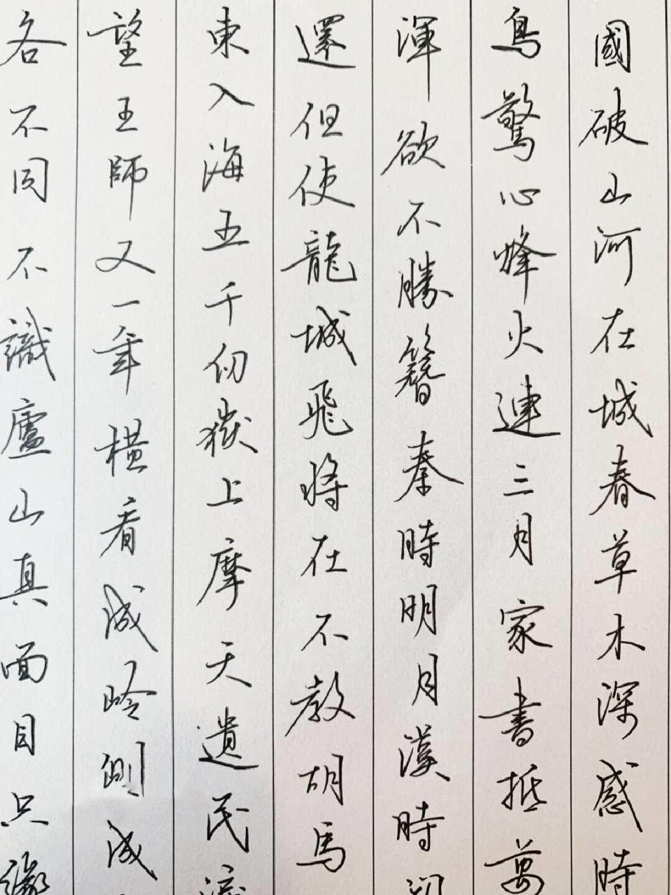 学员硬笔字书法 | 古诗词四首 94杜甫·《春望》 国破山河在,城春