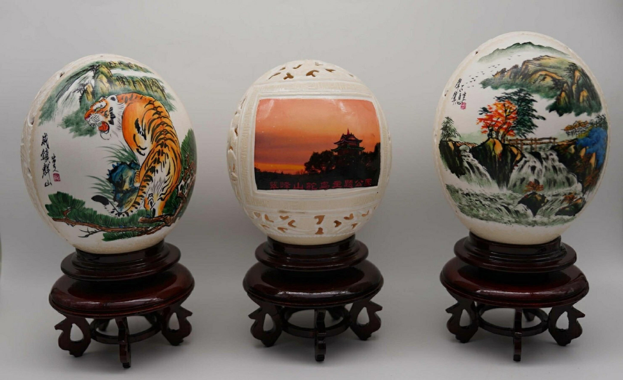 我们都知道鸵鸟是世界上最大,最长寿的鸟类,鸵鸟蛋也异常珍贵,因此