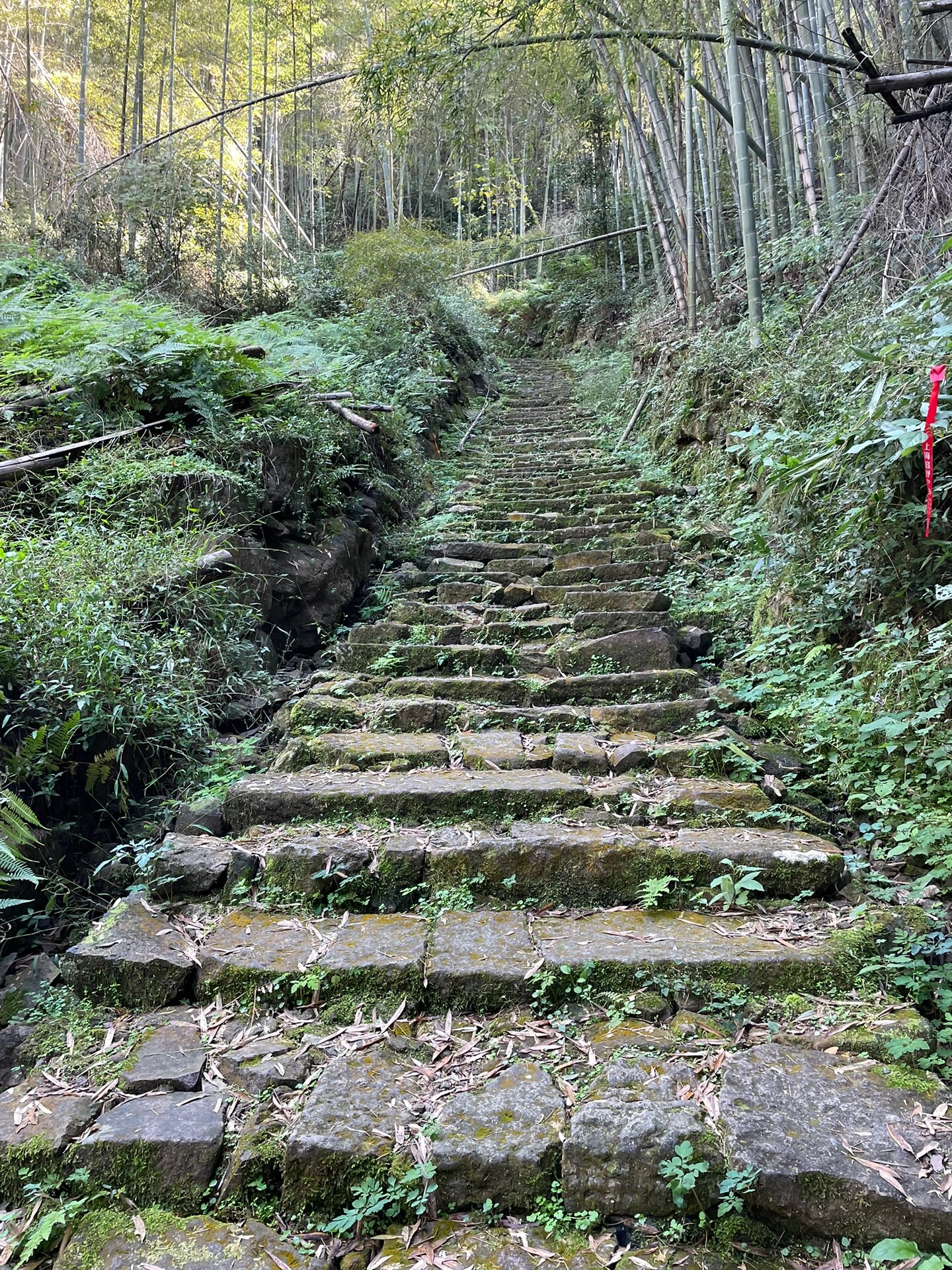 日铸岭古道图片