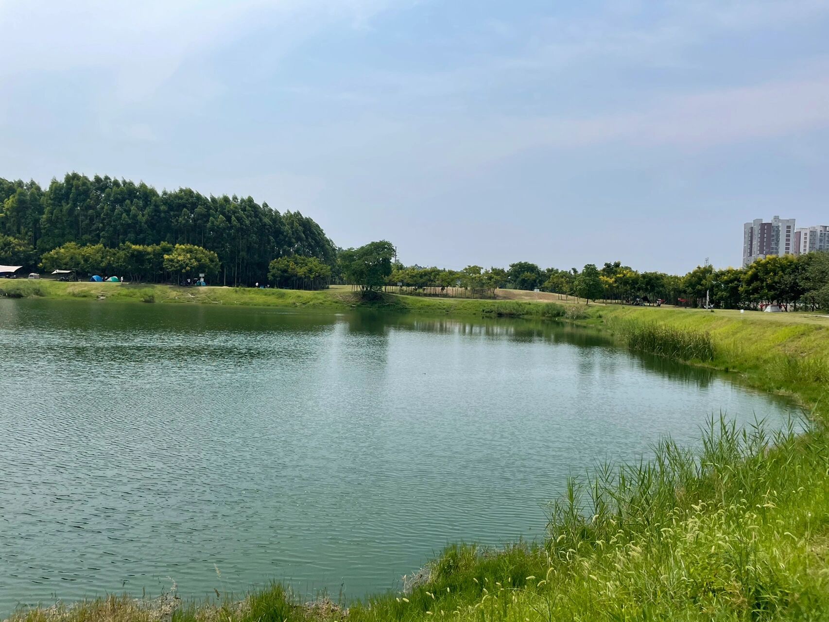 新都白鹤岛湿地公园图片