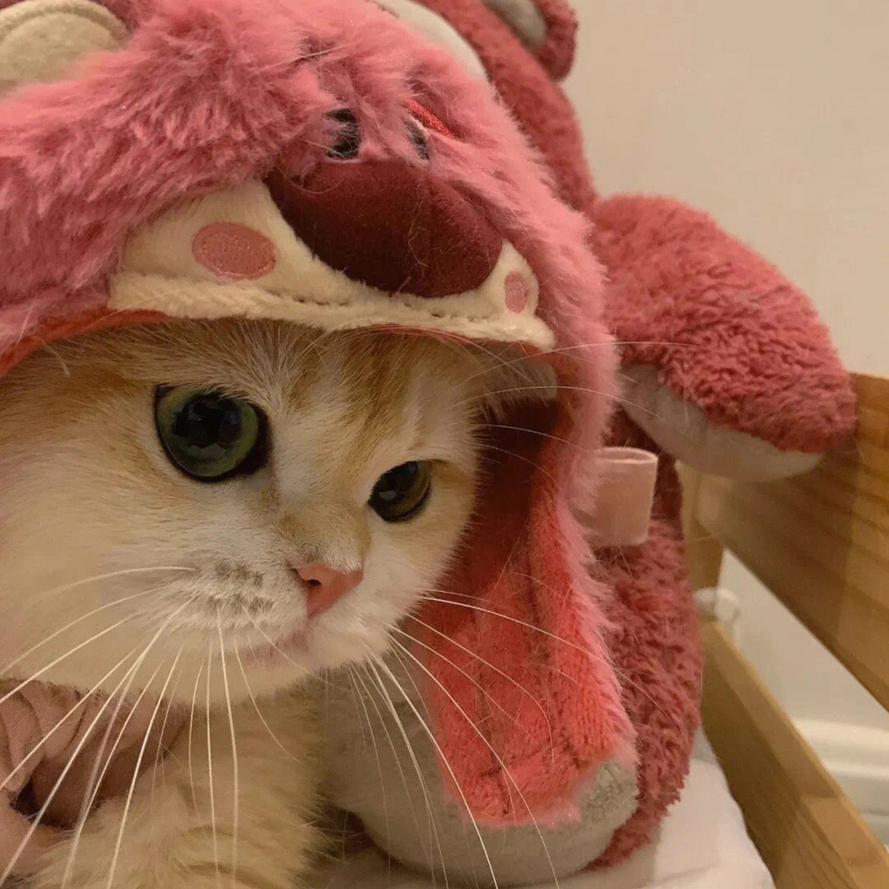 93 喵~ 各位铲屎官们,我来分享一些超级可爱的微信猫咪头像啦!