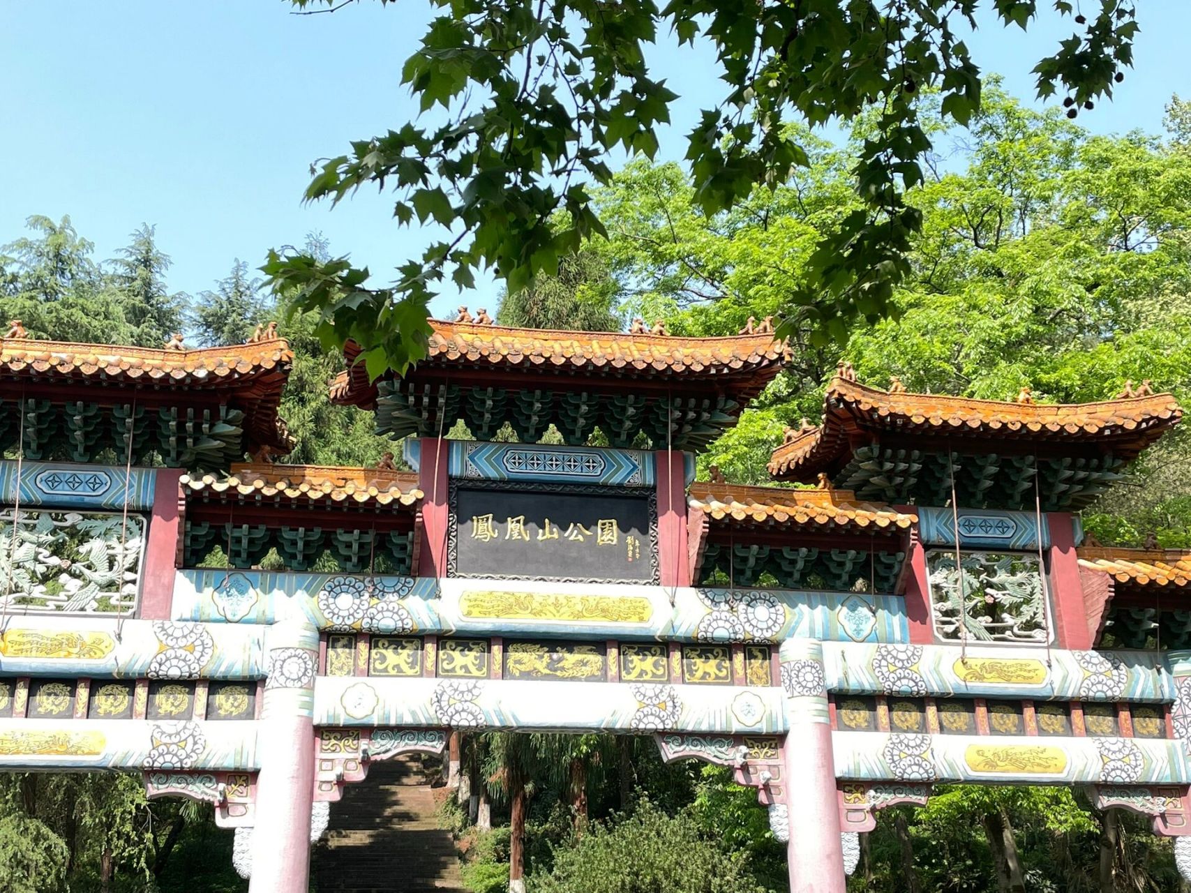 遵义凤凰山国家森林公园 顶着29度的高温爬山 一包纸一瓶水两条腿 是