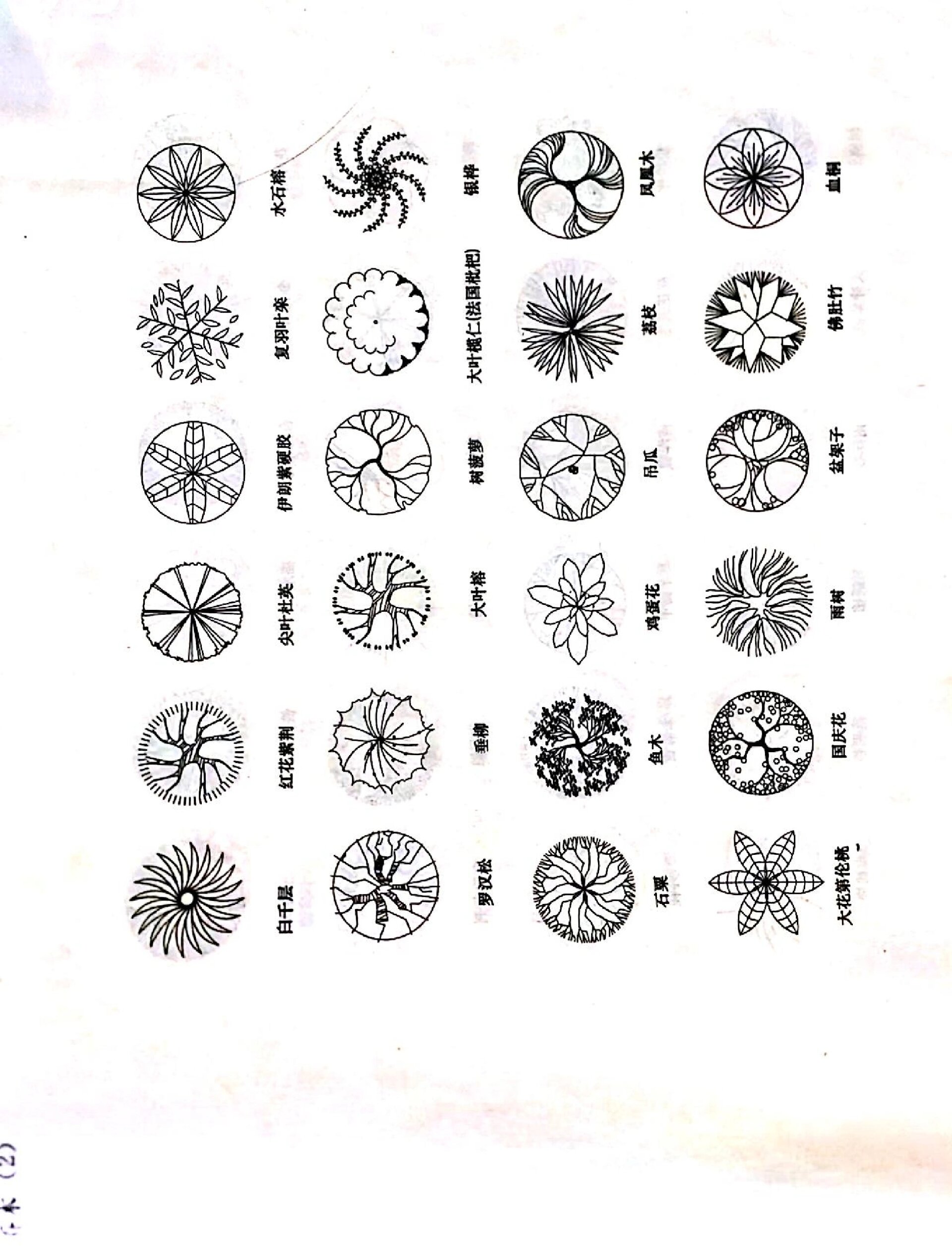 景观平面图植物图例图片