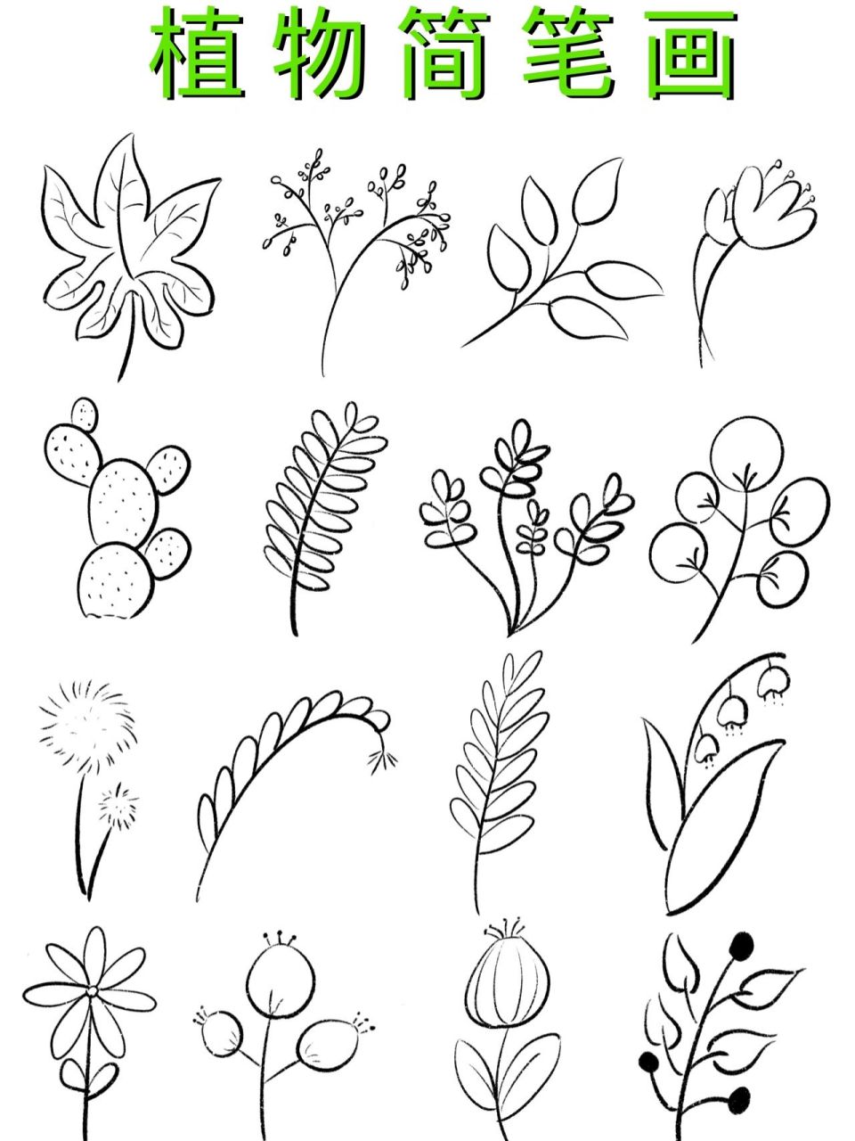 春天的植物儿童简笔画图片