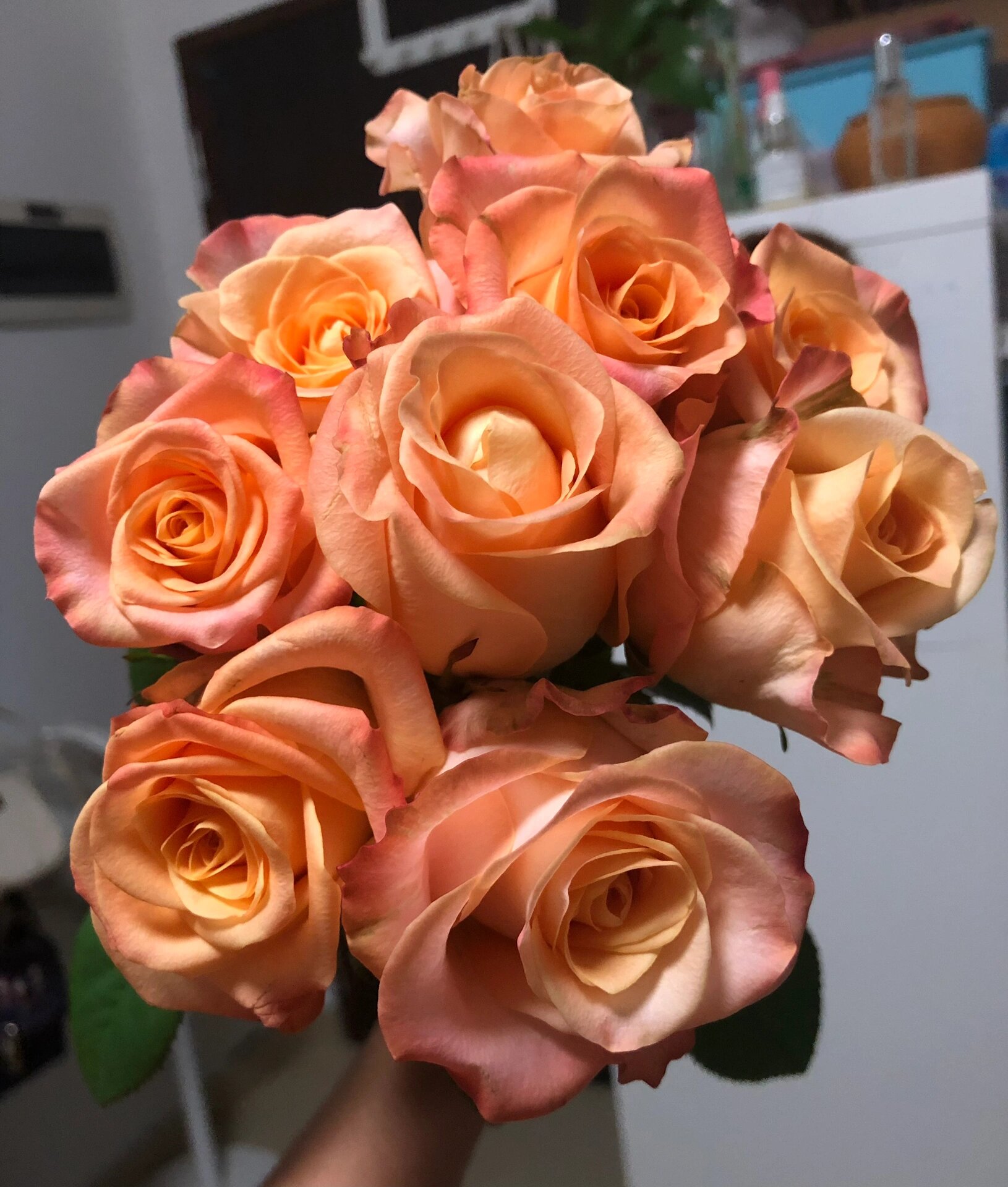 玫瑰|蒙娜丽莎(大庄花卉)  102. 蒙娜丽莎.