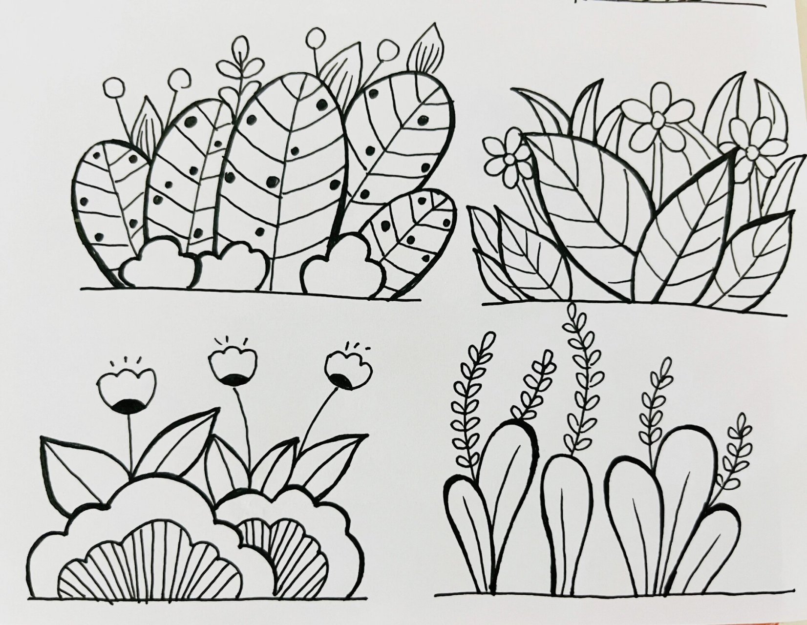 植物简笔画来了 幼教考编绘画-植物简笔画素材