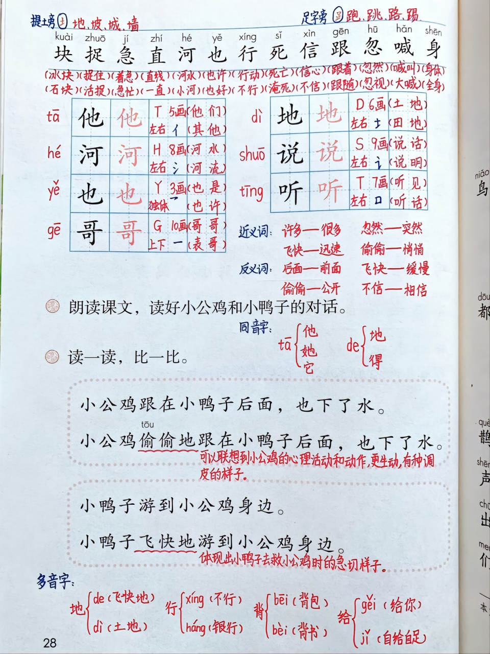 一年级语文下册《小公鸡和小鸭子》课文笔记 一年级语文下册《小公鸡