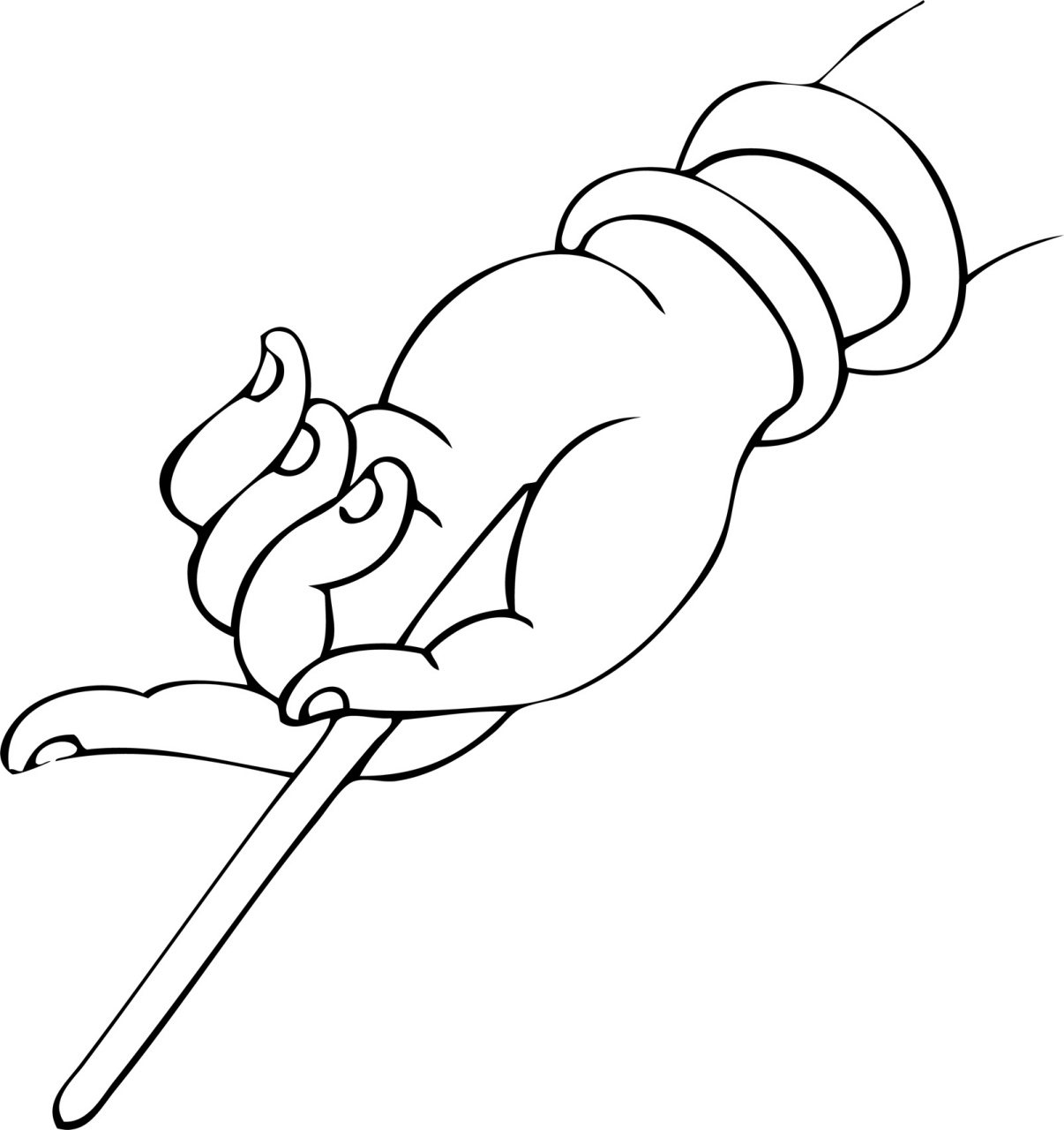 佛手白描·线描素材·国画专业参考资料底稿