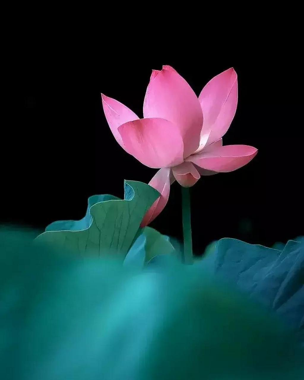 城府深的人,他们有着独特的表现和行为方式.