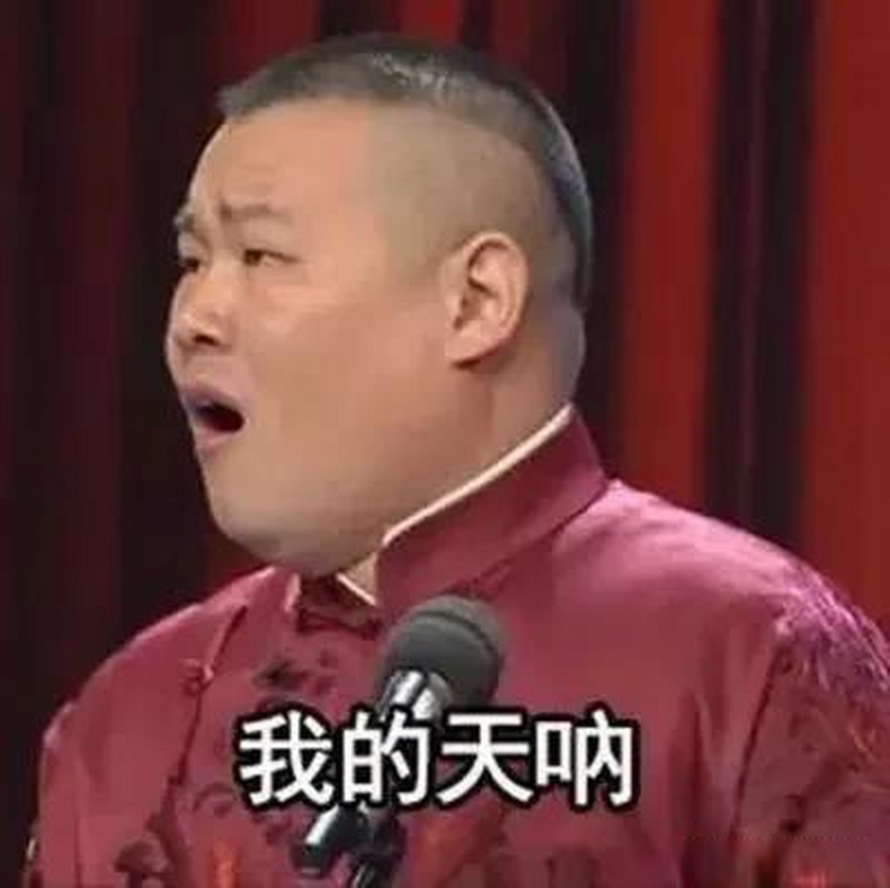 用一句话证明你看过岳云鹏的相声"我的天呐!