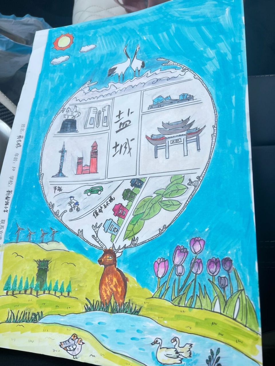 我心中的沿海城市-家乡盐城