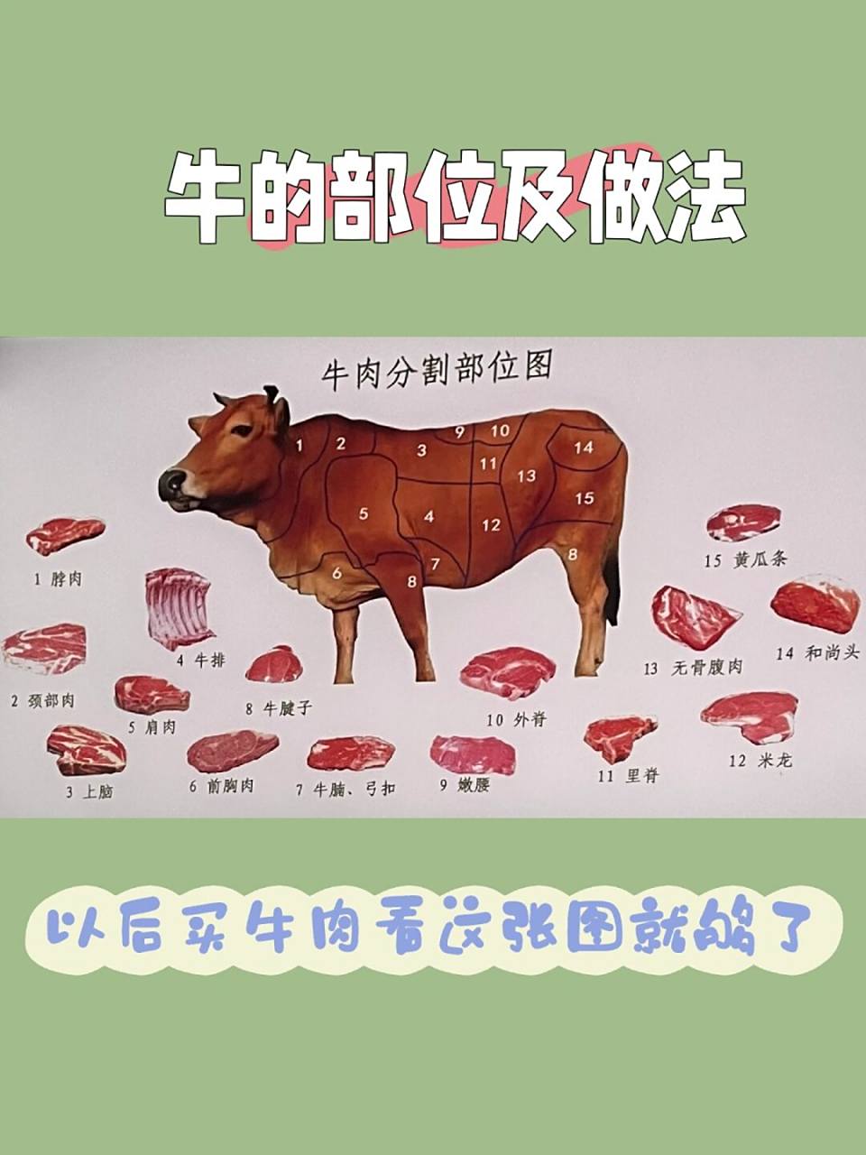 内部资料|一张图带你认识牛的所有部位 嗨,薯薯们,这里是定仙牛.