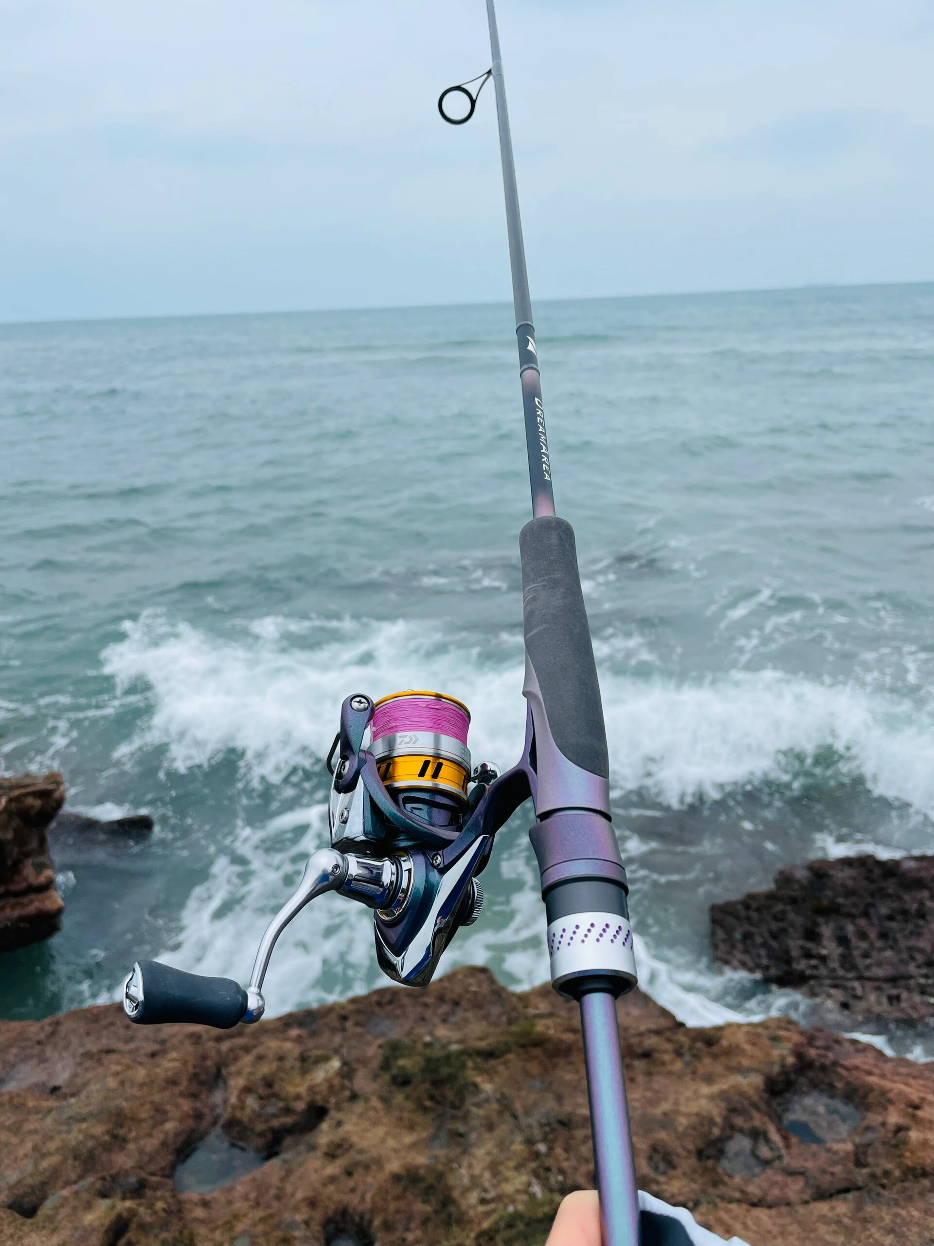 狗鲨00 狗鲨00(学名:条纹斑竹鲨) 这个在上海水族馆有摸过～ 91