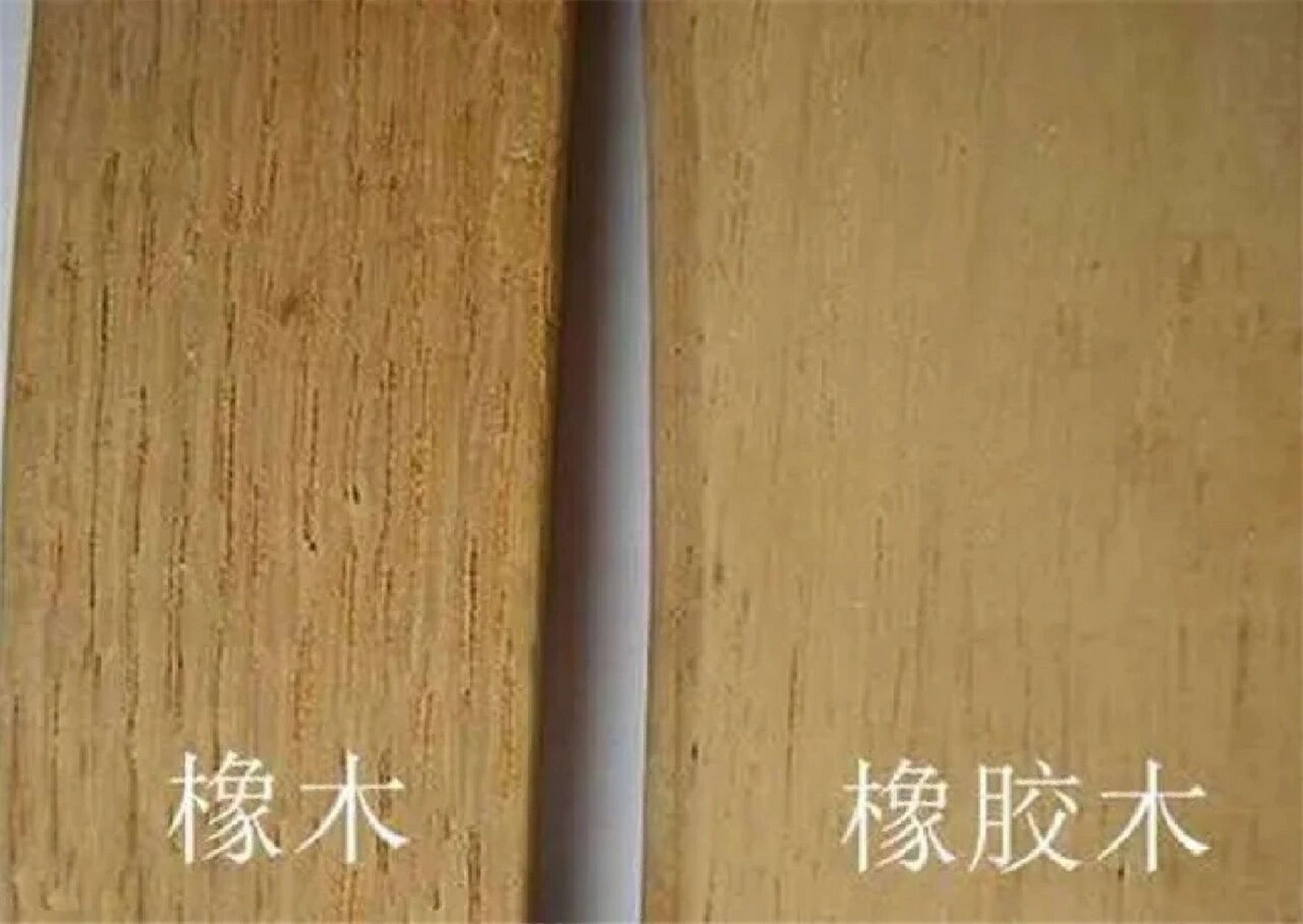 橡木和橡胶木,区别原来这么大!