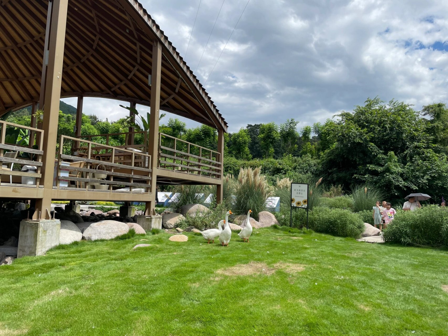 海花沟大地公园 环境真的好美 今天的天气也好舒服 还遇见还会逗人的