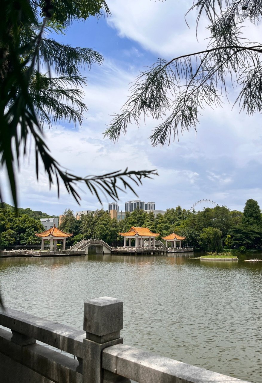 中山 逸仙湖公园 闲逛 没人能懂 就是很喜欢逛公园 街心公园 大公园