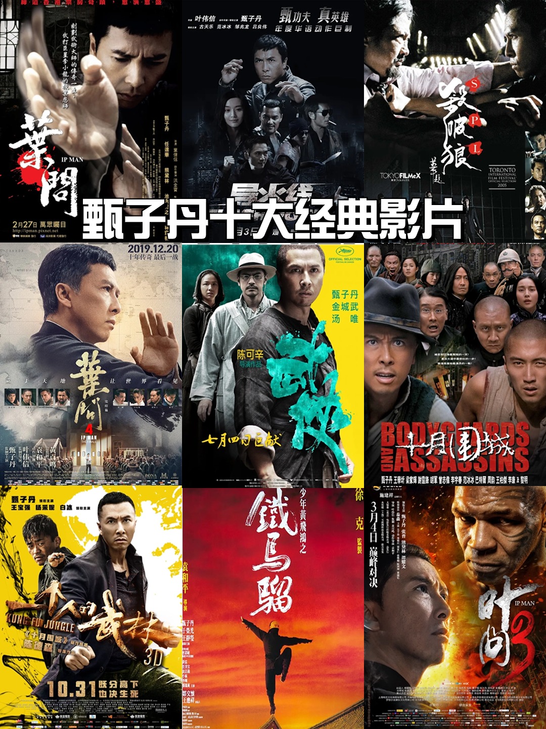 甄子丹十大经典影片 🌟hey,各位功夫电影爱好者们,今天我要带你们一