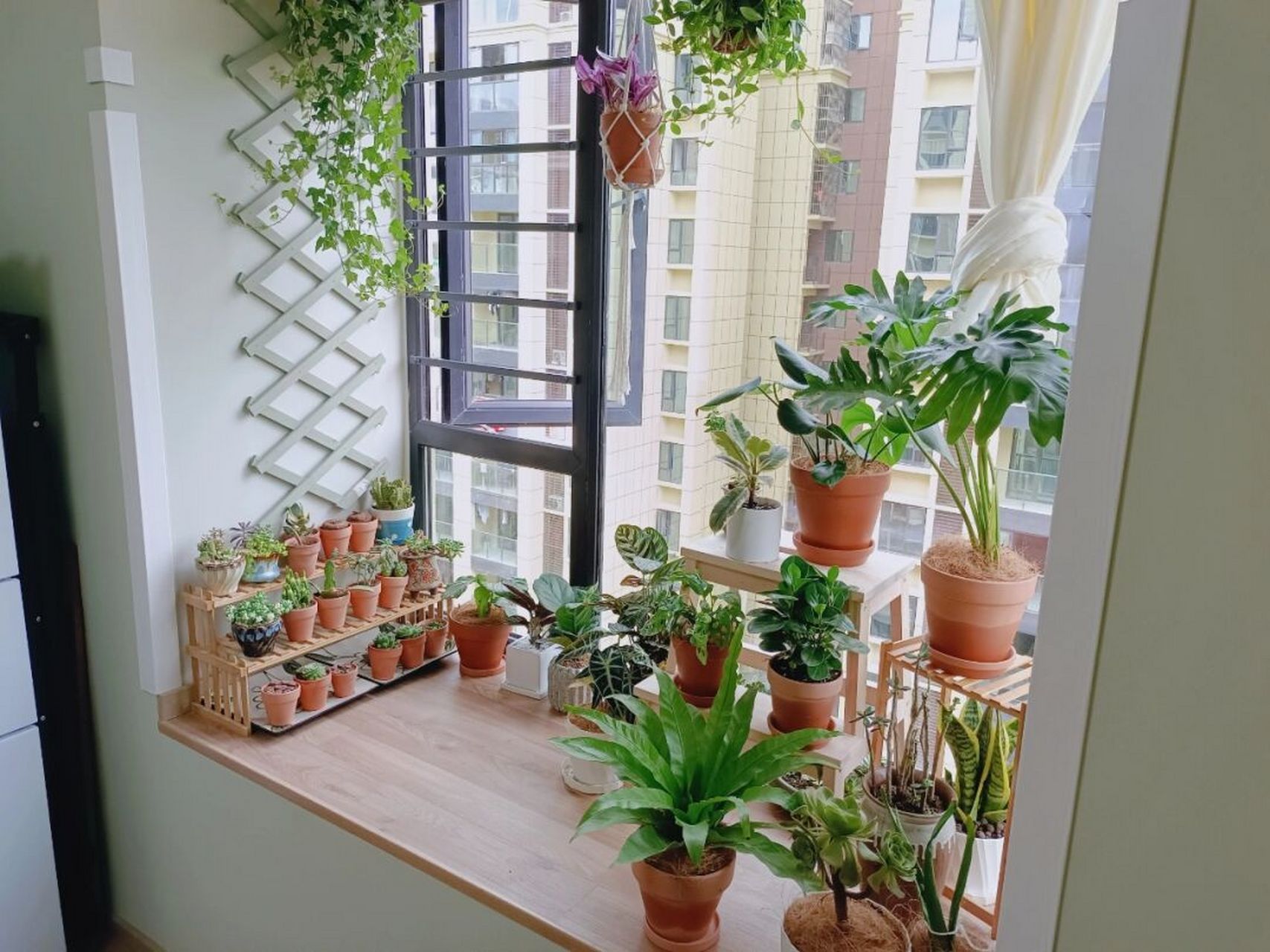阳台养花飘窗台养植物绿植 完成了,地方有限,不过自己挺满意的.