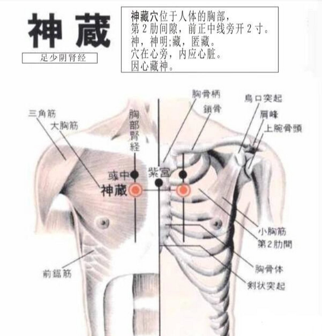 神藏位置图片