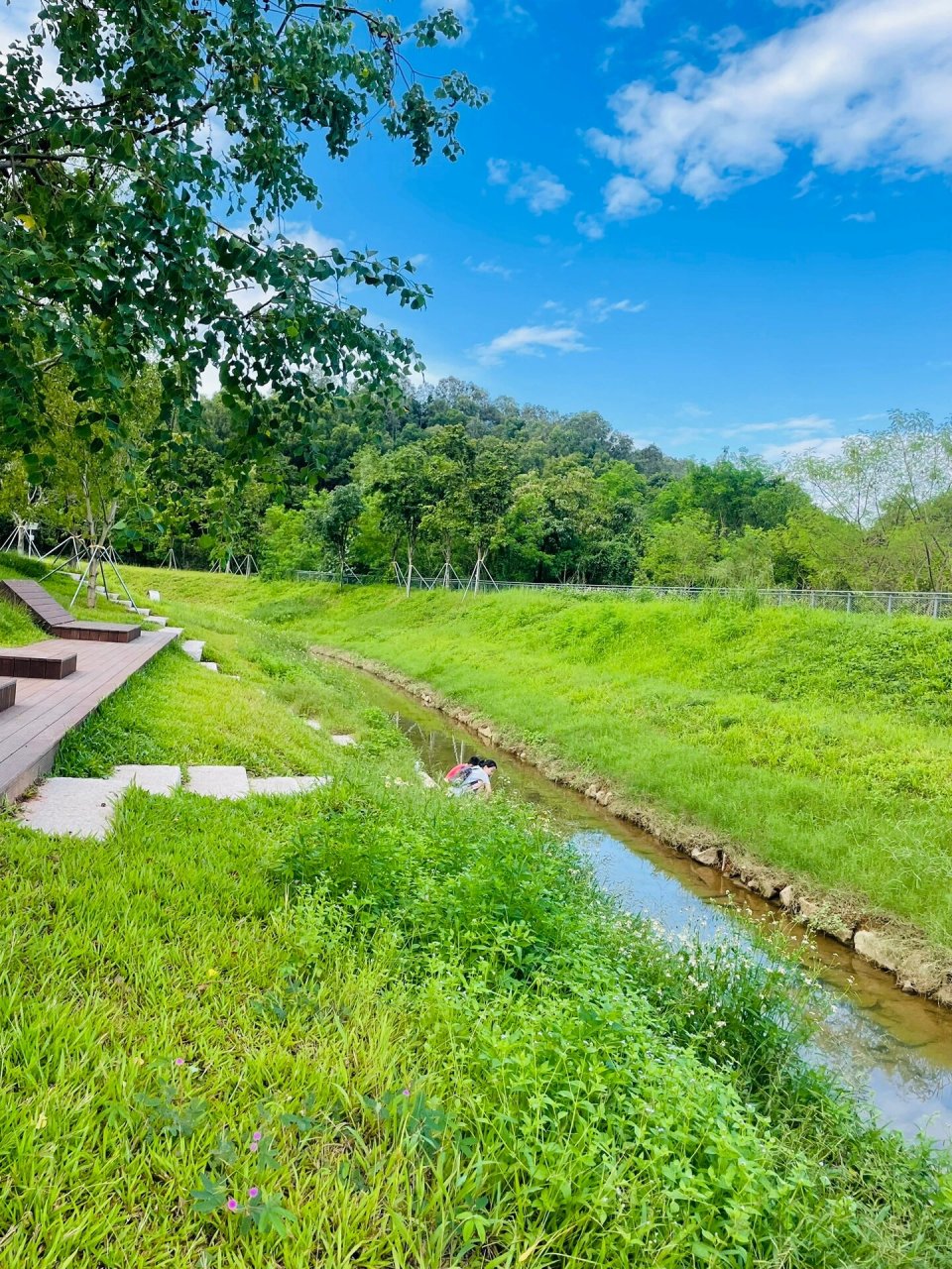 周末大户外-骑行西丽湖度假村 导航:西丽湖度假村 停车9315:可停