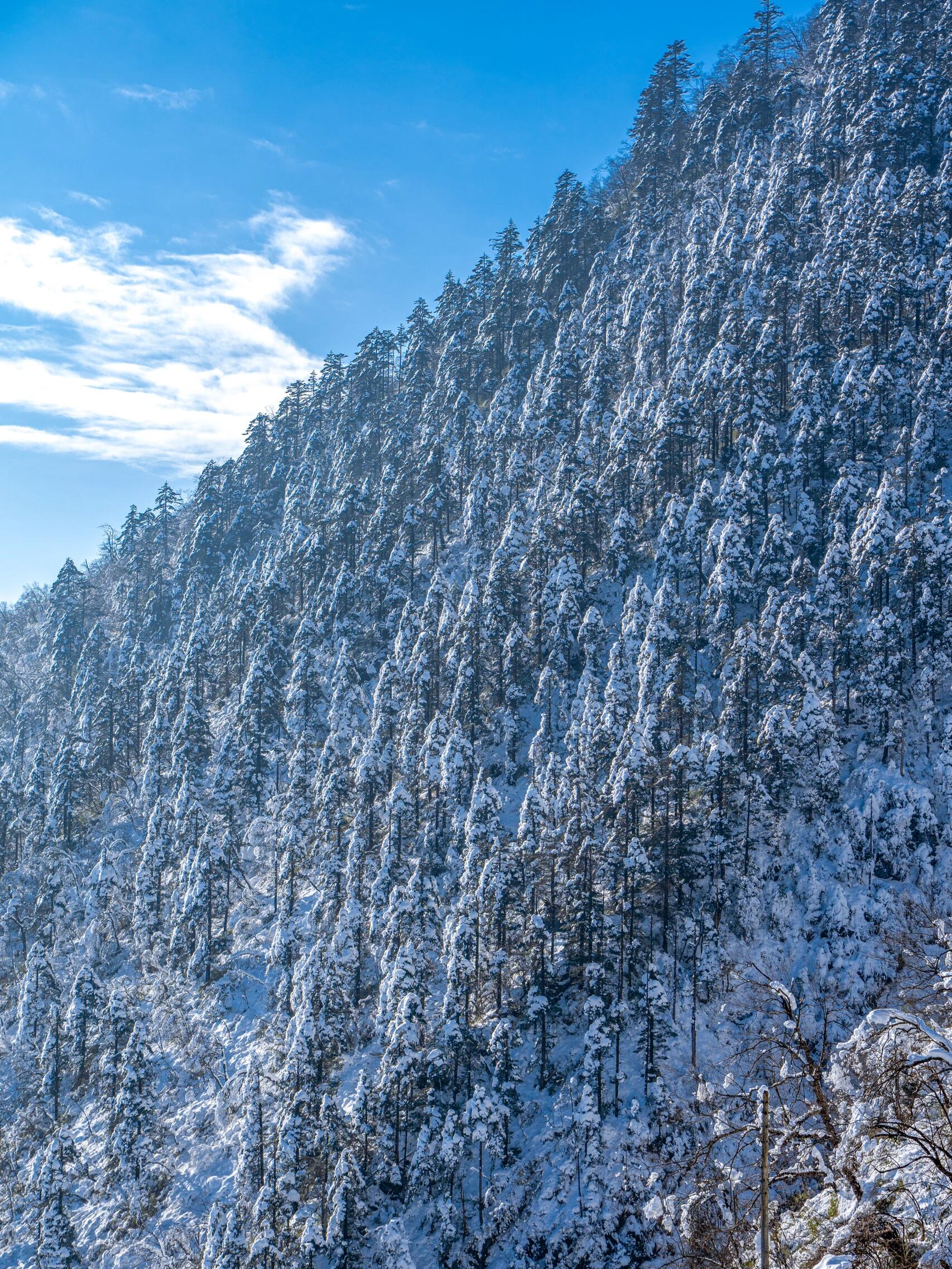 重庆雪山景点有哪些图片