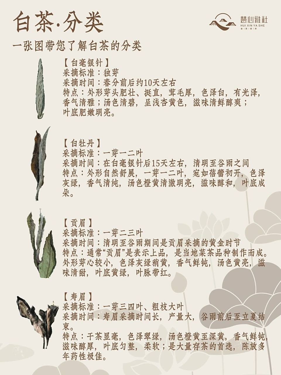 白茶的分类 白茶61分类 一张图带您了解自茶的分类 【白毫银针】 朵