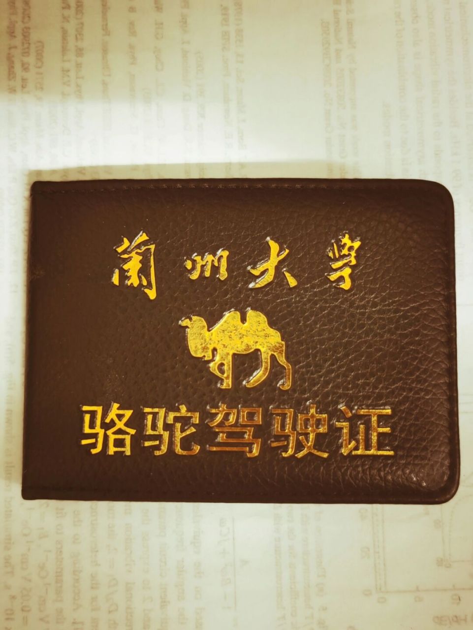 我天天骑骆驼上学!