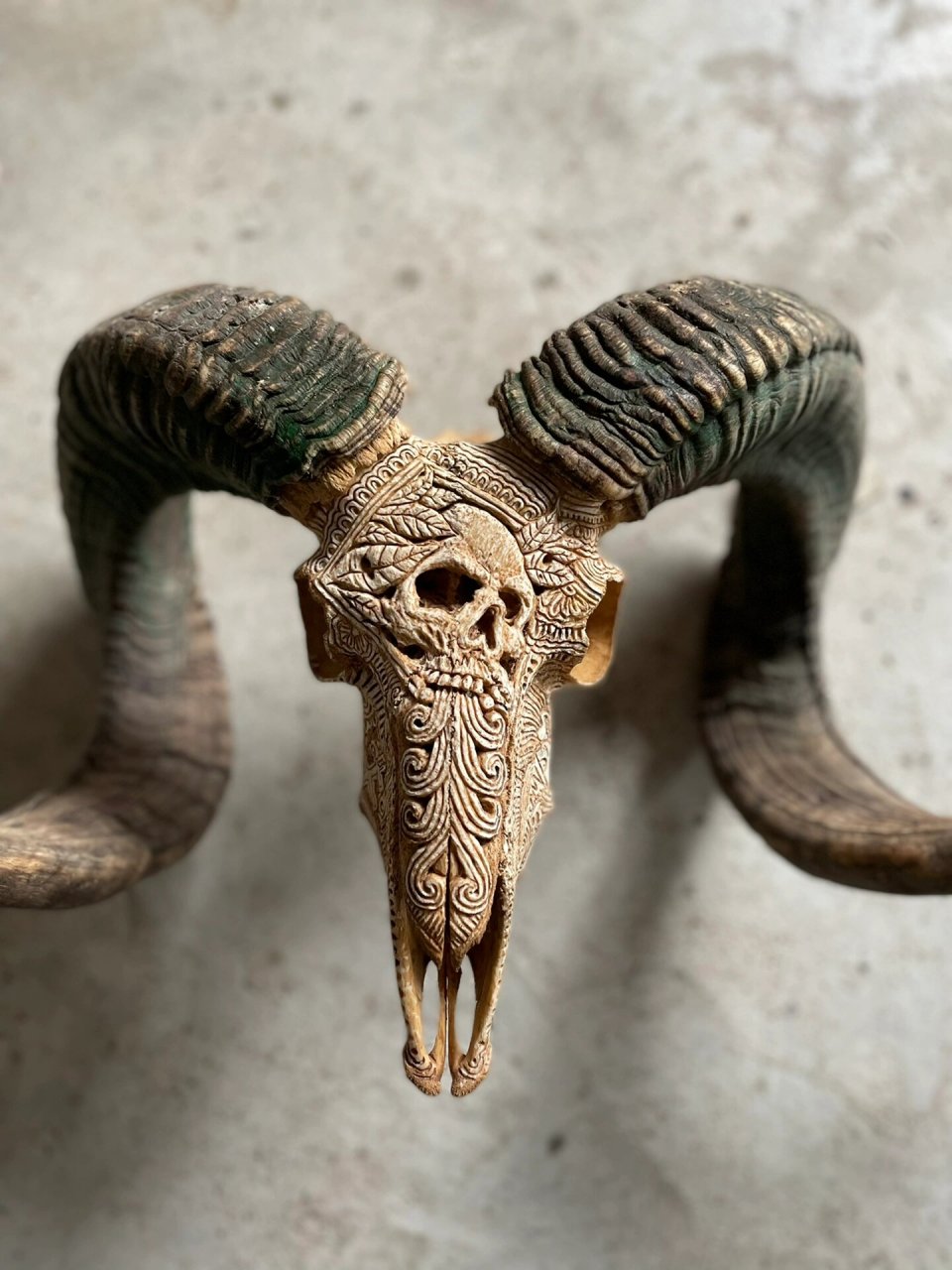 羊头新骨雕,软装 装饰品定制 骨质特别好的羊头雕刻起来就是好 定制