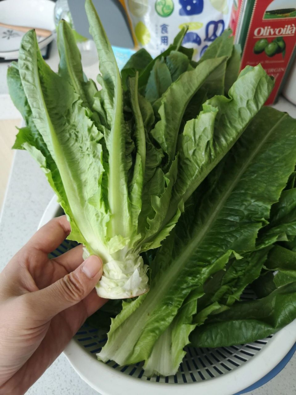 我怀疑只有四川人才能精准区分,油麦菜和 莴笋尖!