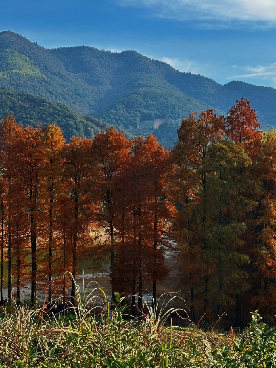 藏在绍兴嵊州的宝藏小众旅行地|人少景美  99起点:南山湖村 99