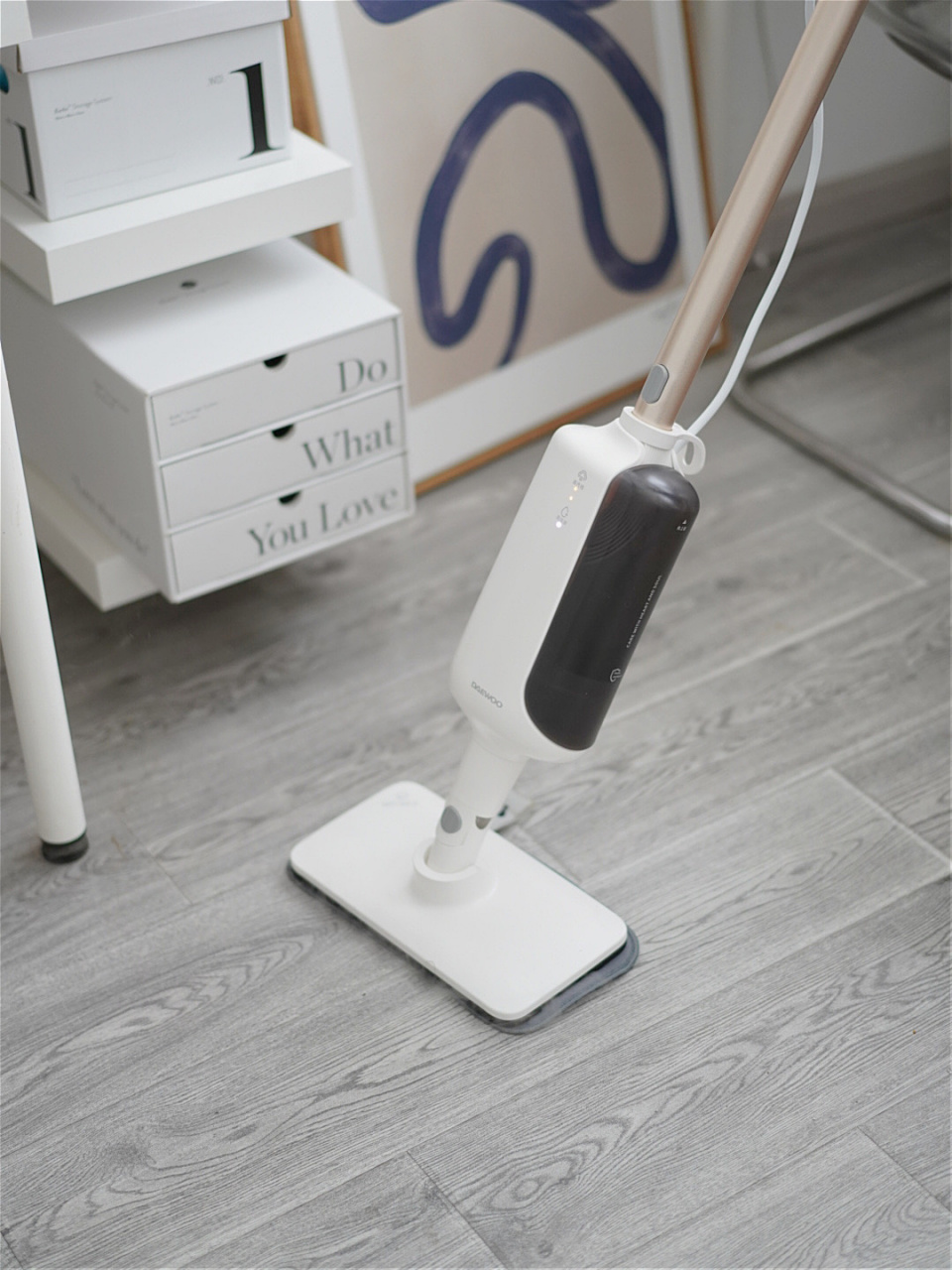 如何选购 从去年开始经常在网上以及各大博主直播间刷到蒸汽拖把,甚至