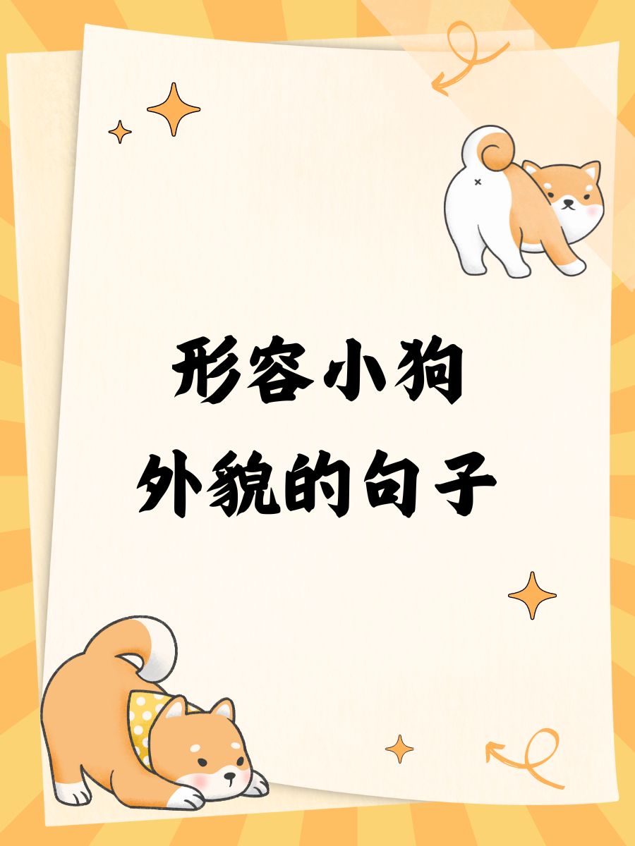 形容小狗外貌的句子 小狗毛茸茸的,像个小绒球一样可爱!