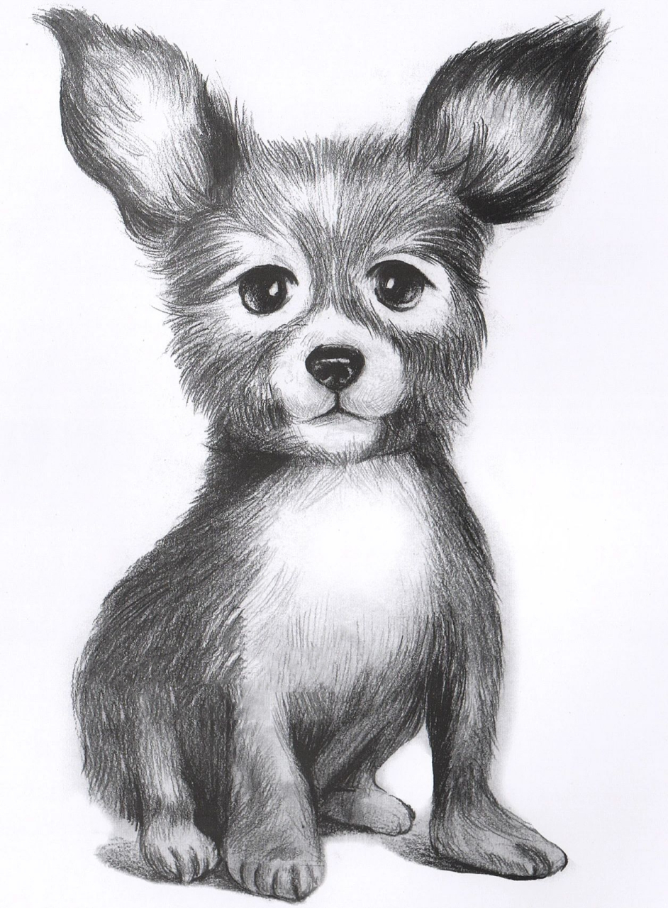 创意素描高清图,素描100张 发网盘