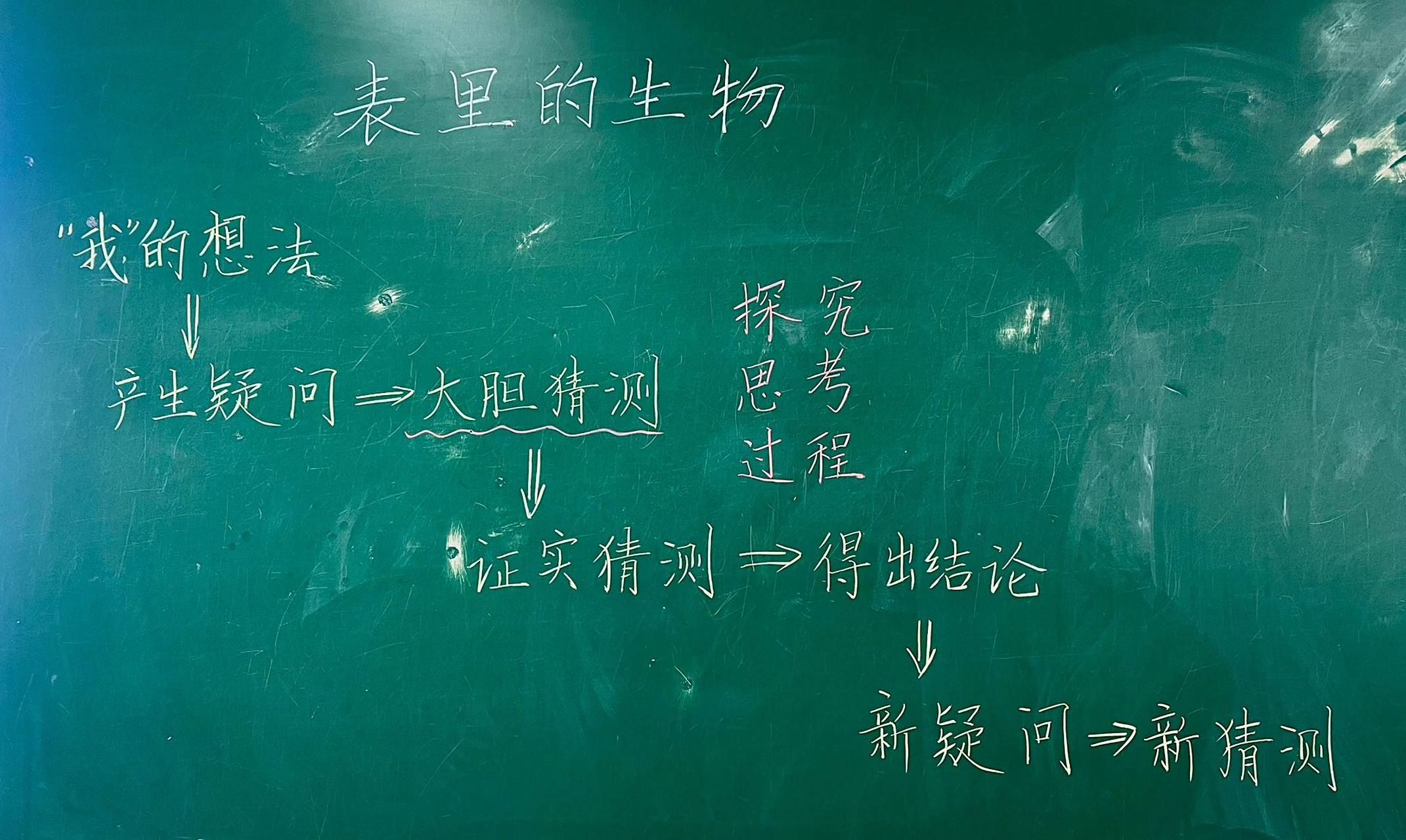 板书设计|表里的生物 我小时候住在一座小城里,城里没有工厂,所以也没