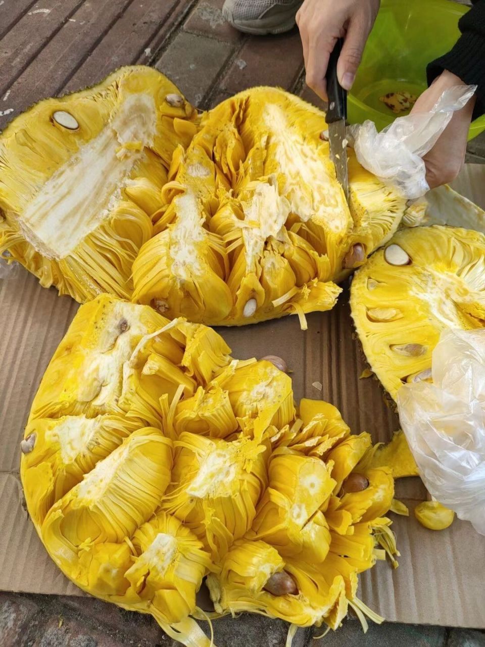 海南菠萝蜜干湿包区别 去了海南才知道海南菠萝蜜是有两个品种的:干包