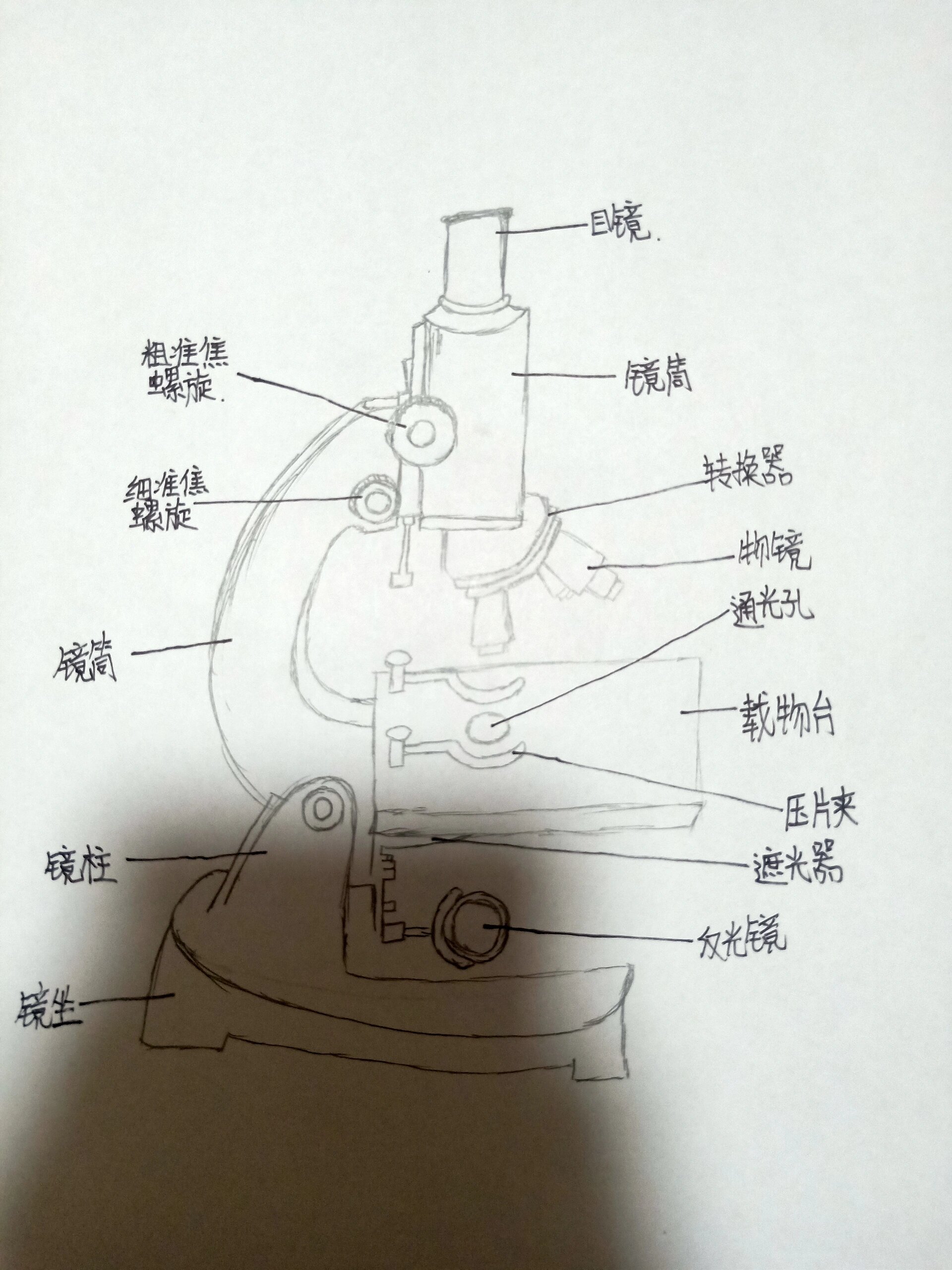 电子显微镜构造图图片