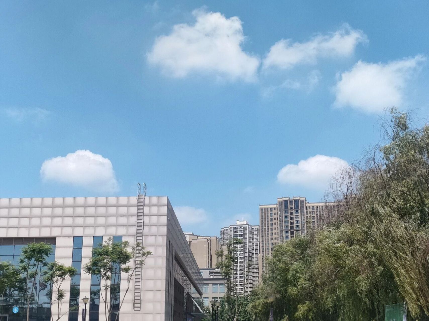成都银杏酒店管理学院 景观 第一张图是学校鸟瞰图,后面是我所见的