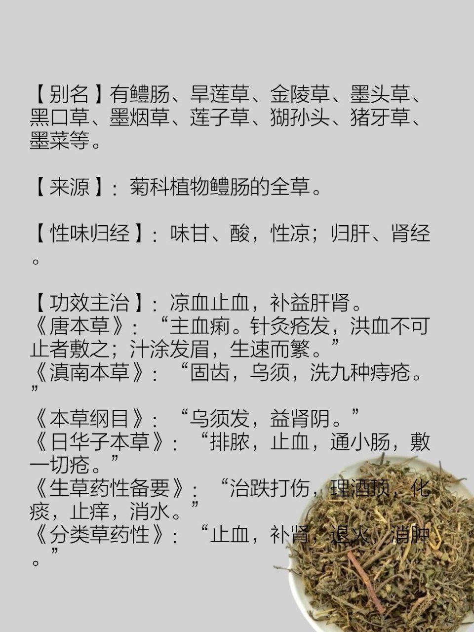 痱子草功效与作用图片图片