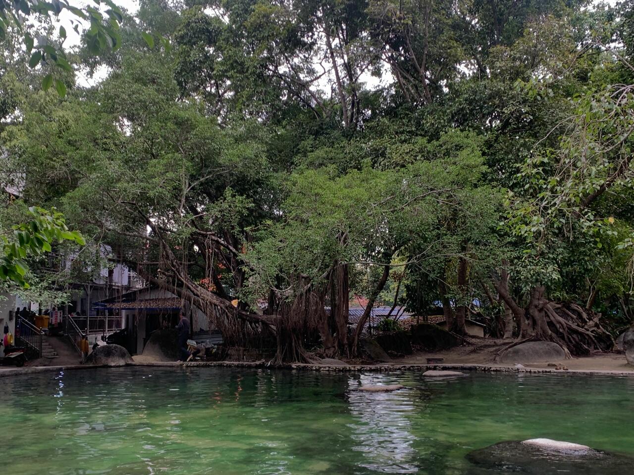 云南 红河 金平县 勐拉温泉