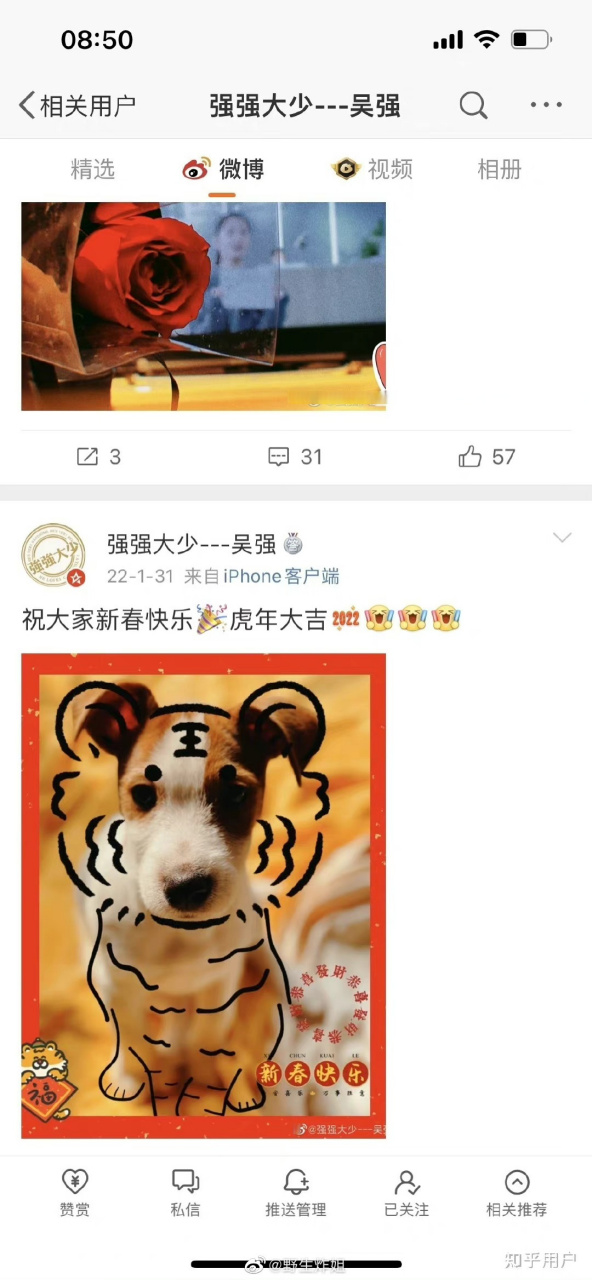 有网友发现陈钰琪和她三搭的浮图缘导演吴强好像……养了同一只小狗?